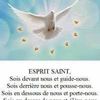 user2903192815335