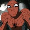 spidercat047
