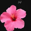 jessicar2818