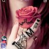 user1352177748178