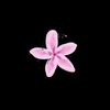 majo_0745