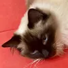 aladybehindthecamera