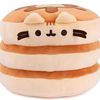 im_a_pancakecat