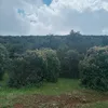 abde.eli