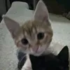 nick_.st4r