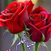 x_u7q