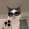 tara0749