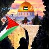 chamseldindahdi51