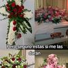 miguel.gaona35