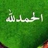 user36254049366625