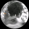 llyasarees1