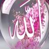 yaallah71st0