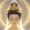 🙏🪷Hoa Mua Trắng 🪷🙏