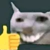 user851263655