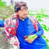 ahmad.baloch.ahma08783