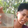kungbuangkatv
