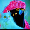 user2244480197048