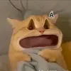 thwdayynek