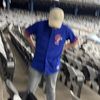 user5804440407096