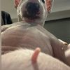jessiewove11