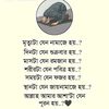 user73481831398168
