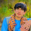 saifrahman.tani