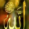 ali.alatrash91
