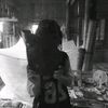 triya453