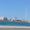faisal09813