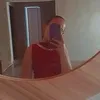 ana.clara9529