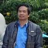 l.t.vui4