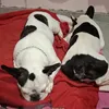 valki.y.chimu