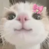 andiexxx0