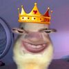 nelal_