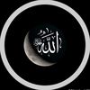 alijut8043