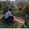 supriyopramulyi7