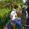 naldi__13