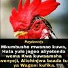 eliusngolemuk
