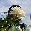 princessoflove8