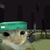 rexstecu3