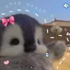 chinthichreview