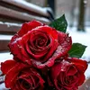 user9131937740351