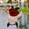noor.hussein34