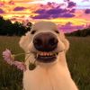 grassenjoyer77