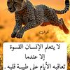 islam.hadjazzem4