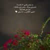 mohammdalfaiq