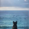 sea__58