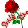 user429871856937961