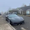 chizappworm