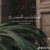user14688205623306